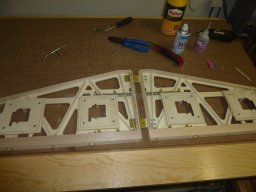 Ruder and elevator (205)